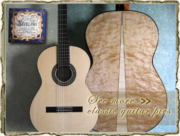 Guitar Pictures